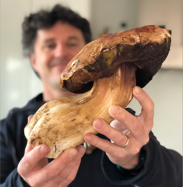 Far West Fungi 🍄